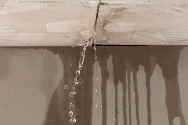 Professional Water Damage Inspection technician working in Marlow, NH